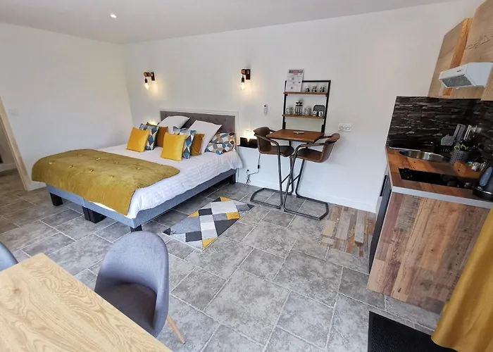 Hotel Les Terrasses De - & - Restaurant & Saumur