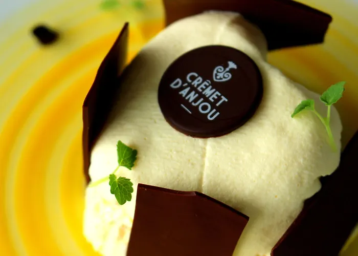 Hotel Les Terrasses De - & - Restaurant & Saumur